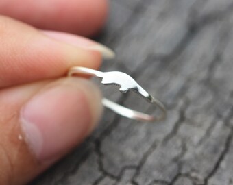 pangolin ring