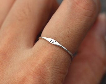 North Arrow Shop Leo Thin Band 925 Sterling Silver Zodiac Sign Ring with Gift Box