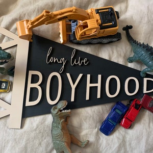 Long live boyhood pennant, pennant sign