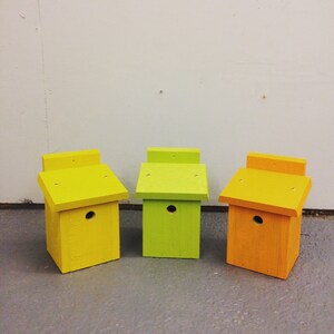 bird boxes