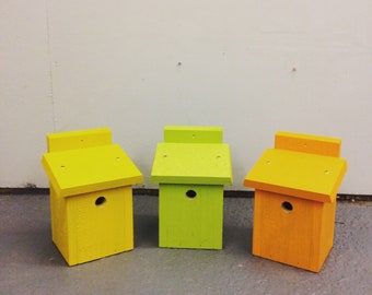 bird boxes
