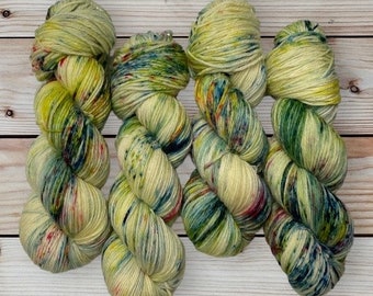 Hand Dyed Superwash Bluefaced Leicester/Corriedale DK/Light Worsted Yarn Wool, 100g/3.5oz, Word Salad