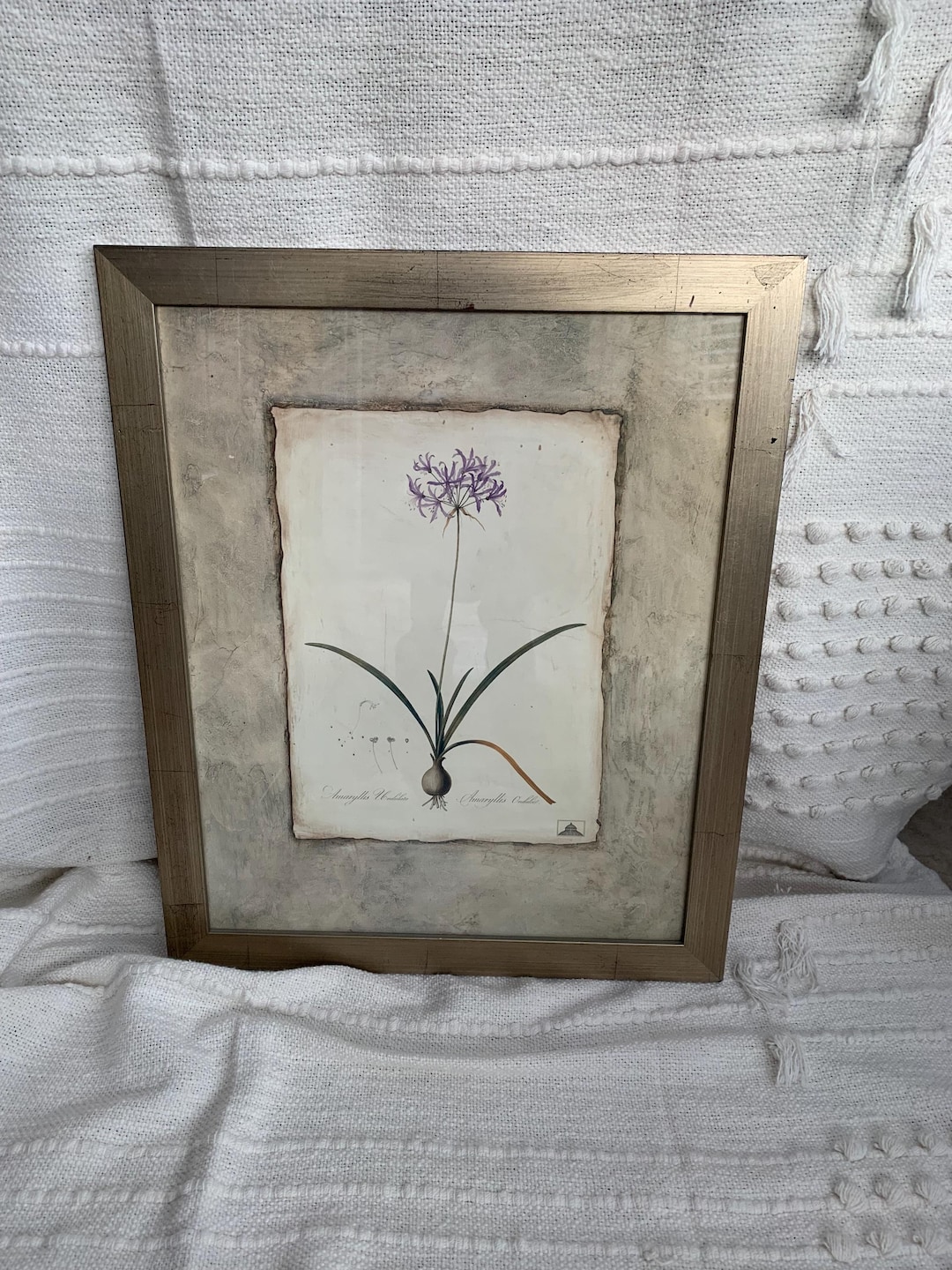 Vintage Framed Botanical Print, Metal Frame, Vintage Floral Art - Etsy