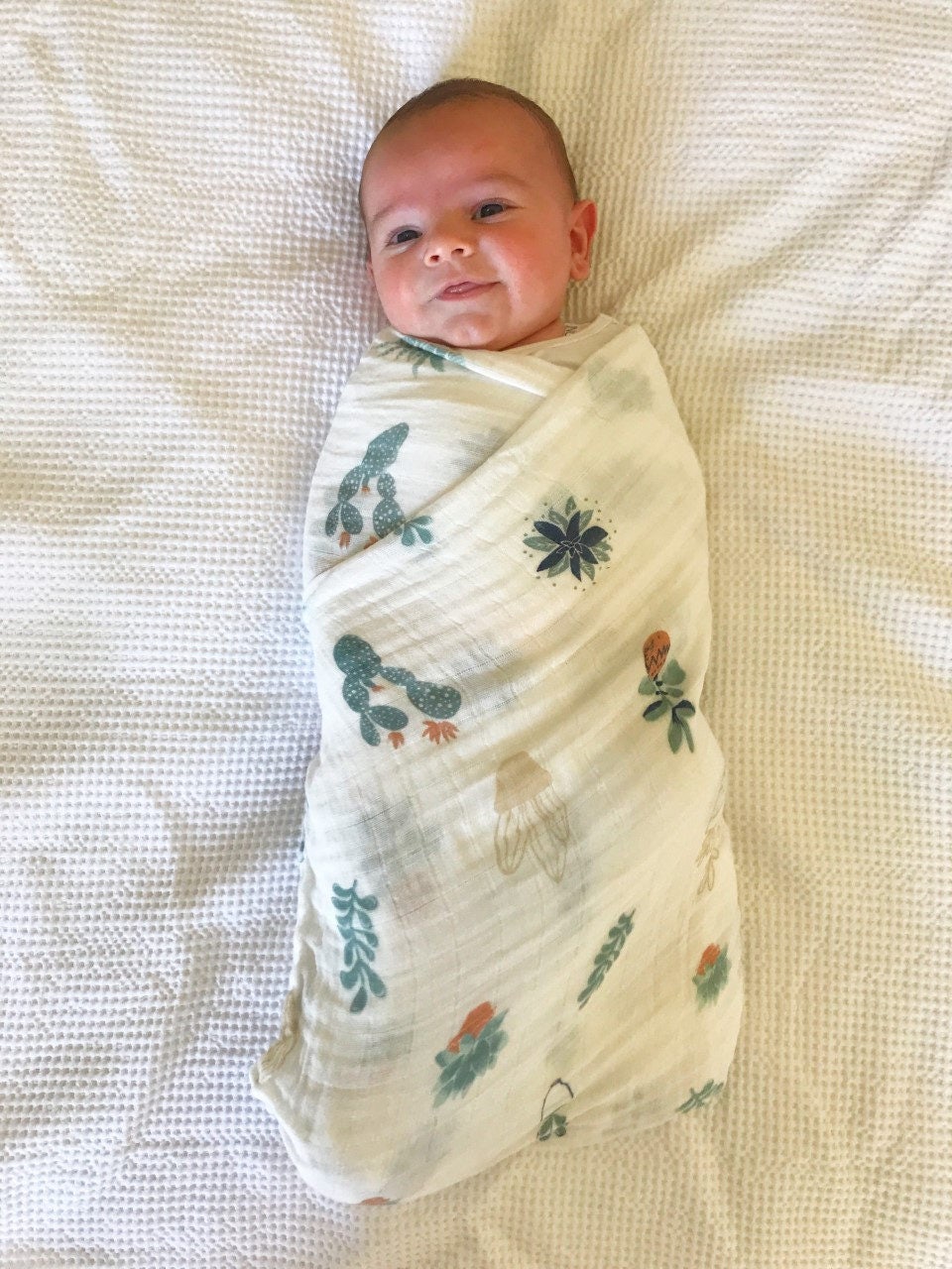 succulent swaddle