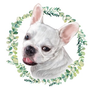 Pet Digital Portrait 4x4 10cm x 10cm Personalized Illustration Gift Decor Cat Dog Lover image 4