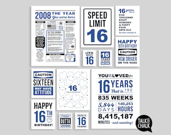 16th Birthday Blue Sign Bundle | Last Minute PRINTABLE Birthday Posters, Sign Pack | 16th Party Decorations for Boy or Girl | Born in 2008