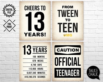 13th Birthday PRINTABLE Signs | 13th Birthday Party Decorations | Cheers to 13 Years PRINTABLE Poster | Official Teenager Sign