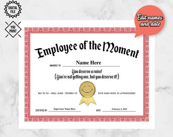 PRINTABLE Employee of the Moment Certificate | Employee Appreciation Week Gift Ideas | Recognition for Work | Employee Award | DIY Printing