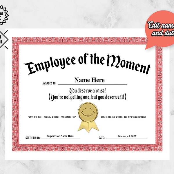 PRINTABLE Employee of the Moment Certificate | Employee Appreciation Week Gift Ideas | Recognition for Work | Employee Award | DIY Printing