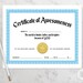 PRINTABLE Certificate of Awesomeness Awesome Recognition for School or ...