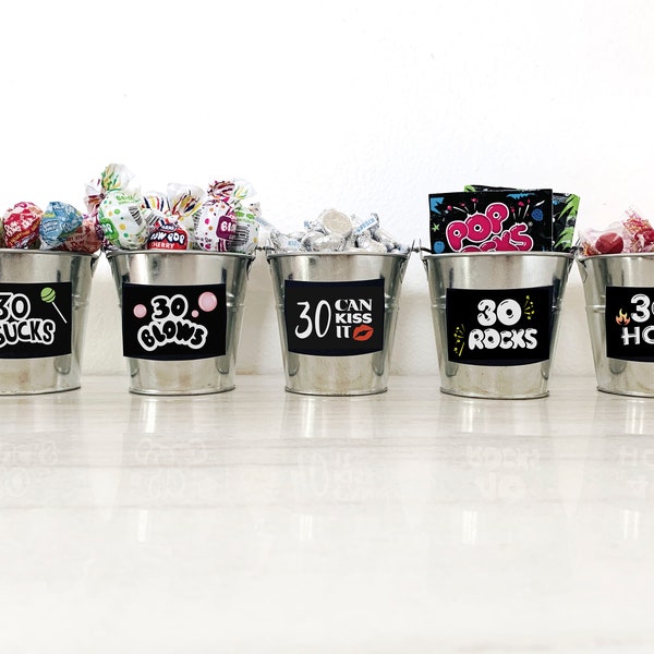 30th Birthday PRINTABLE Decorations | 30 Sucks - 30 Blows - 30 Can Kiss It - 30 Rocks - 30 Is Hot | Instant Download DIY Printing