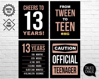 13th Birthday PRINTABLE Signs | 13th Birthday Party Printable Decorations | Rose Gold Party | Official Teenager Sign | DIY Printing