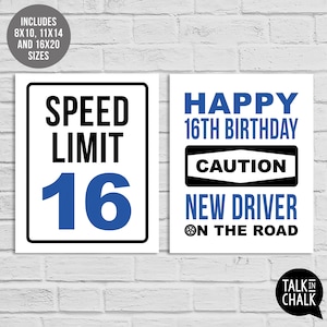 16th Birthday Blue Sign Bundle Last Minute PRINTABLE Birthday Posters, Sign Pack 16th Party Decorations for Boy or Girl Born in 2008 image 5