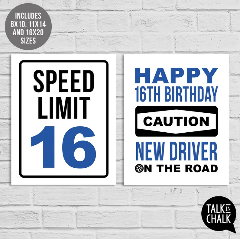 16th Birthday Blue Sign Bundle Last Minute PRINTABLE Birthday Posters, Sign Pack 16th Party Decorations for Boy or Girl Born in 2008 image 5