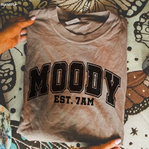 Comfort Colors Moody Shirt, Sarcastic Tshirt, Gag Gift For Her, Aesthetic Womens Shirt, Boho Graphic Tee, Moody Give Me Foody Sweatshirt