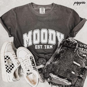 Comfort Colors Moody Shirt, Sarcastic Tshirt, Gag Gift For Her, Aesthetic Womens Shirt, Boho Graphic Tee, Moody Give Me Foody Sweatshirt