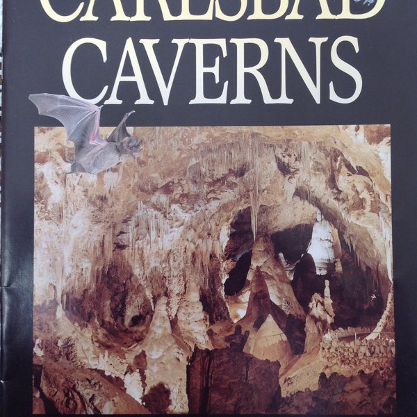 Vintage 1981 Carlsbad Caverns National Park New Mexico Photo Brochure Magazine