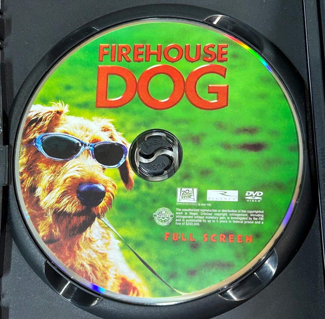 Firehouse Dog Full Screen Edition DVD Family Movie - Etsy