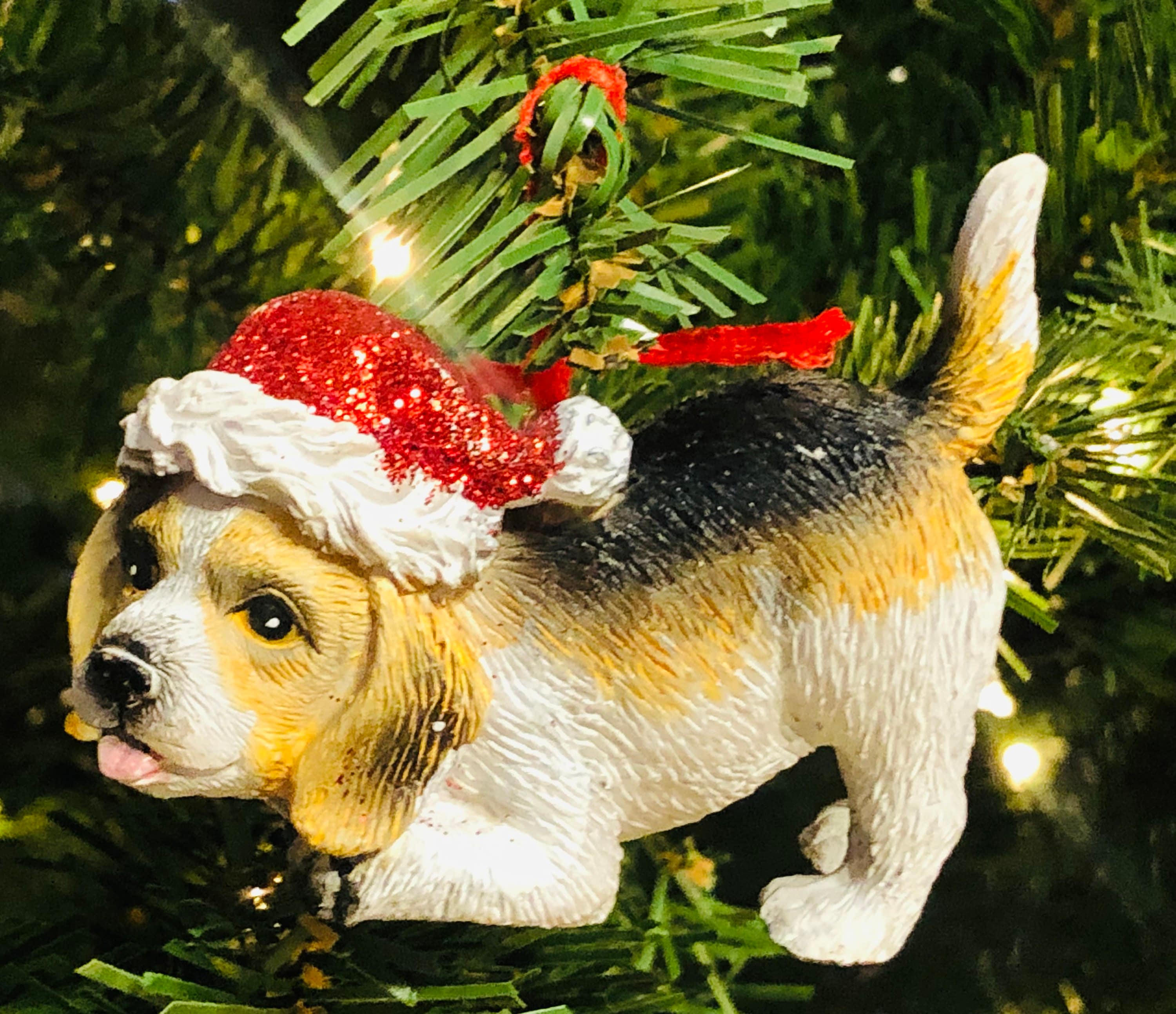 Blank dog sales tags hobby lobby