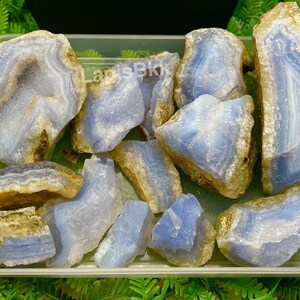 May include: A collection of blue agate rough stones with brown banding. The stones are in a clear plastic container.