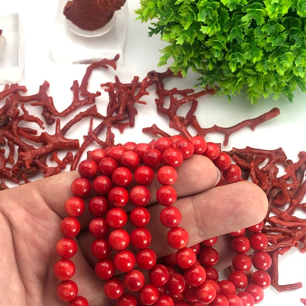 Natürliche Rote Koralle Armband Hochwertige 7 - 8 -10 mm Größe verfügbar für Männer und Frauen