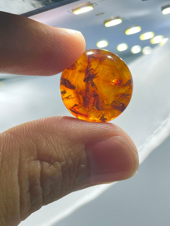 Natural Baltic Amber Round Calibrated Cabochon 18x18 Mm 8 Mm 100 