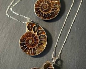 Natural Old Fossil Ammonite Pendant Fossil Opalescent Fossil Pendant.
