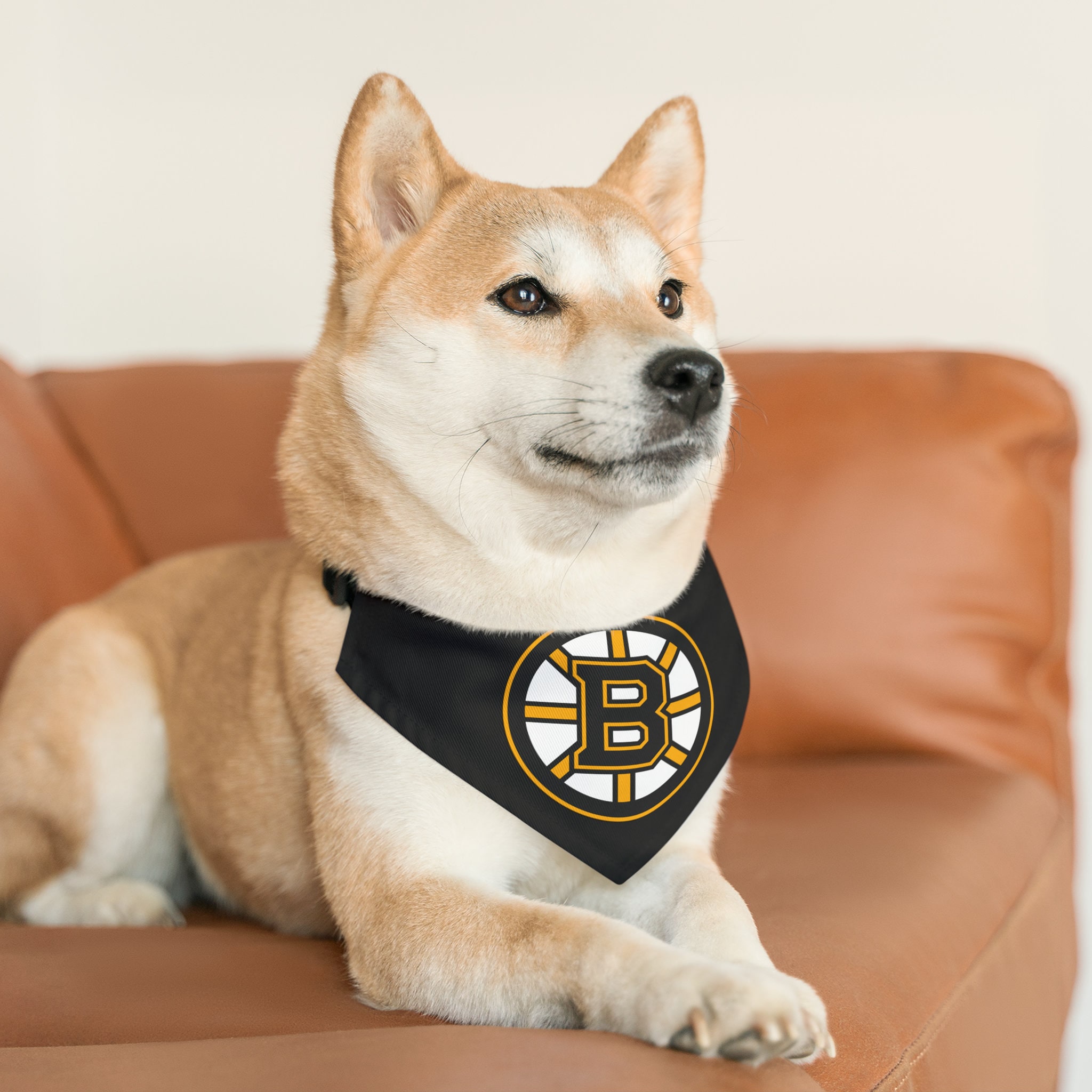 NHL Boston Bruins Pet Apparel Jersey Dog Outfit XS (BRAND NEW)