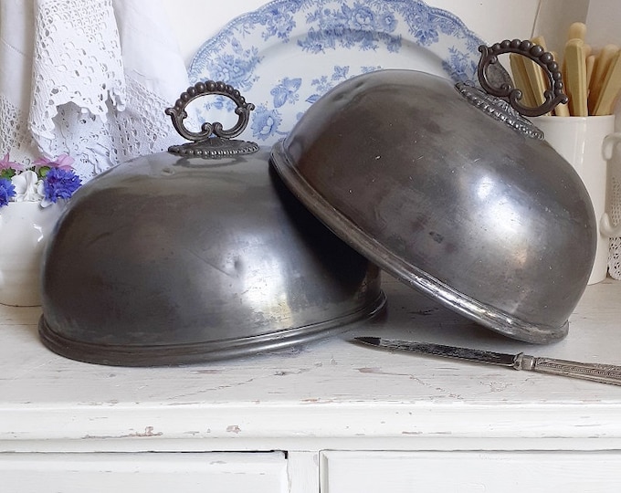 A Rare Pair of 19th Century Meat Domes Etsy