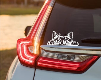 Fluffy peeping cat vinyl car window, bodywork, bumper sticker label decal