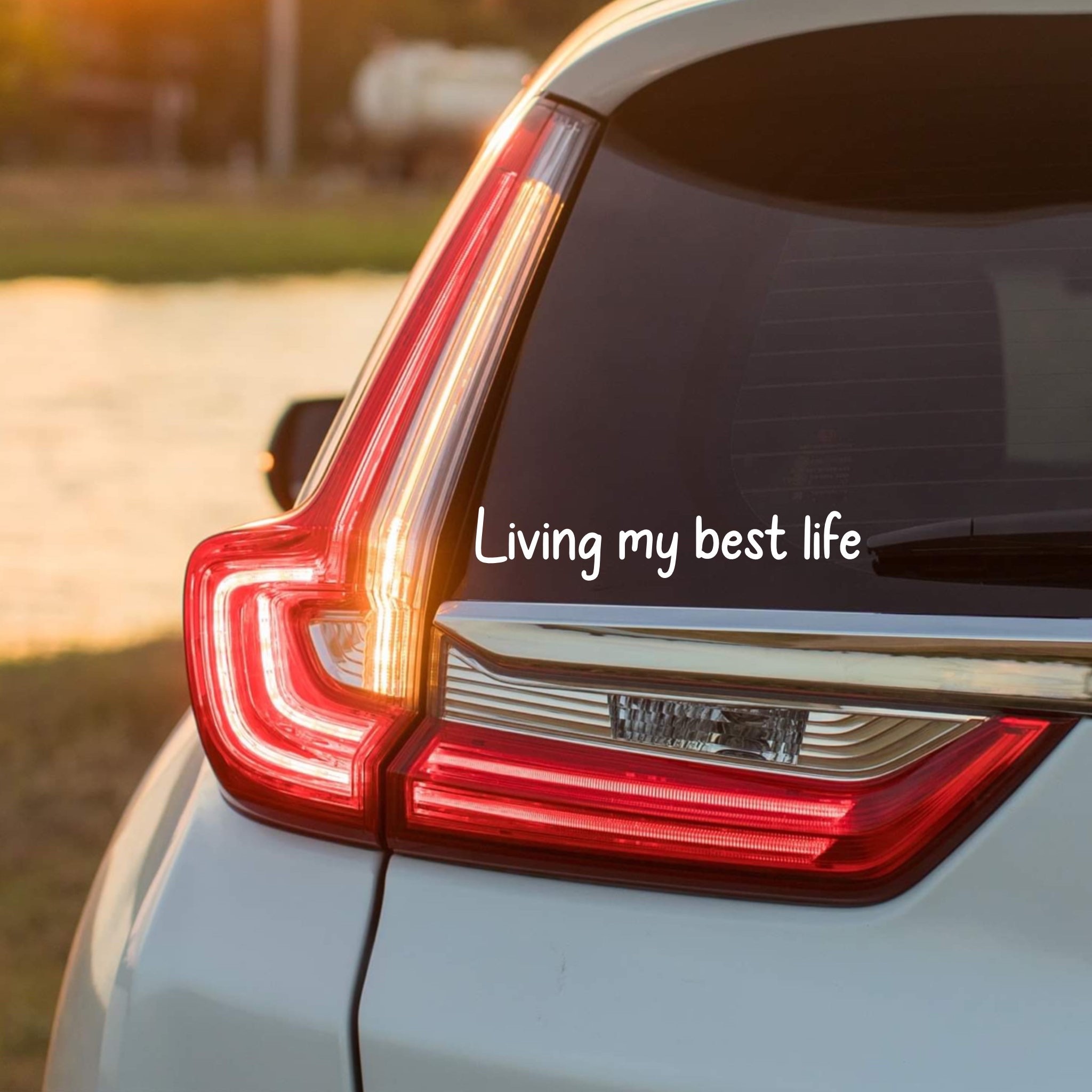 Living my best life vinyl car window bodywork bumper sticker decal label