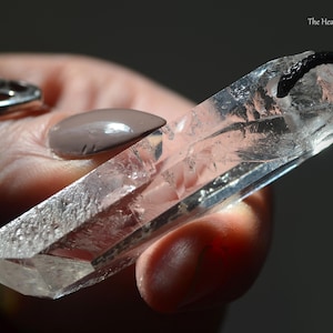 Puede incluir: Un colgante de cristal de cuarzo transparente con un cordón negro. El cristal está facetado y tiene una textura rugosa y natural. The Healing Sea Wolf está escrito en la esquina superior derecha. Se ve un anillo plateado.