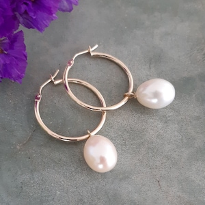 Gold pearl earrings,14k solid gold pearl earrings,14k solid gold hoop earrings,natural fresh water pearl earrings,anniversary wife gift