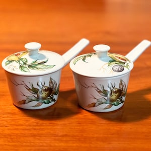 Vintage Villeroy & Boch Pair of Side Lidded Ramekin Pots with Botanical Design