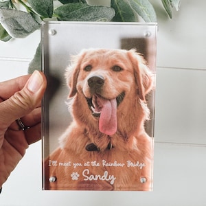 May include: A clear acrylic photo frame featuring a smiling golden retriever dog. The photo has the text "I'll meet you at the Rainbow Bridge" and the name "Sandy". The frame is held by a hand.