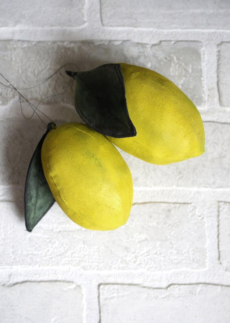 Citrus Fruits Lemon Kitchen Decor Citrus Decor Etsy