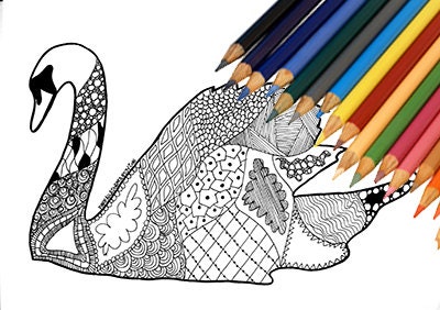 Download Swan Coloring Page Printable Download Adults Kids Download Etsy