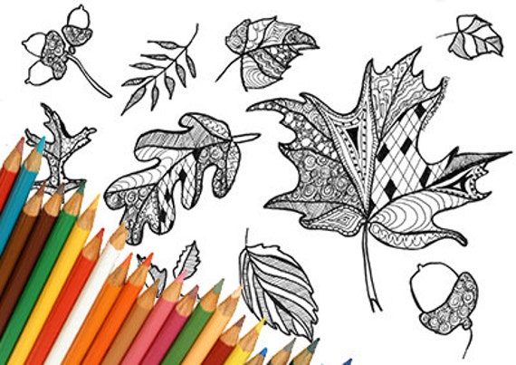 Autumn leaves coloring page autumn leaf coloring fall leaves