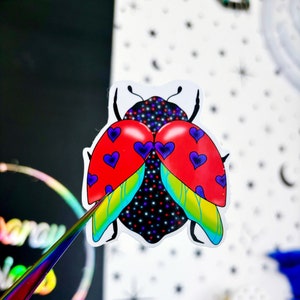 Sticker coccinelle - stickers - stickers coccinelle - sticker scarabée - sticker bouteille d'eau - stickers célestes - sticker coccinelle