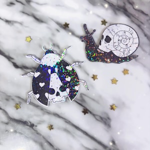 Sticker coccinelle - stickers - sticker escargot - stickers crâne - stickers bugs - sticker bouteille d'eau - stickers célestes - sticker escargot tête de mort