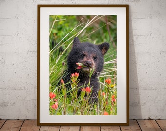 Bear Cub Wildflower Photograph, Fine Art Print, Cottage Cabin Decor, Bear Art, Canadian Wildlife Print, Nature Photography, Canvas & Metal