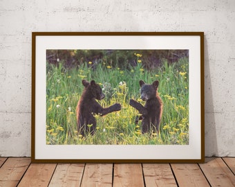 Playful Bear Cubs Photograph, Fine Art Print, Cottage Cabin Decor, Bear Wall Art, Canadian Wildlife Print, Nature Photograph, Canvas & Metal