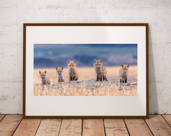 Fox Kit Group Photograph, Fine Art Print, Cottage Cabin Decor, Fox Wall Art, Canadian Wildlife Print, Nature Photography, Canvas & Metal