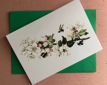 Bee on Apple Blossom Vintage Print Note Cards/Notecards