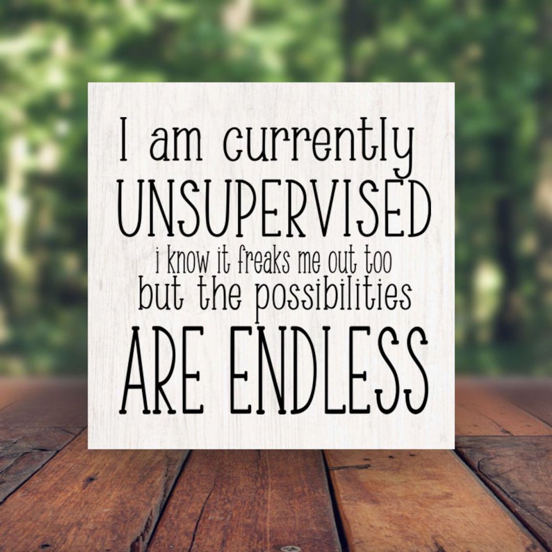 I Am Currently Unsupervised But The Possibilities Are Endles I Am Currently Unsupervised But The Possibilities Are Endles