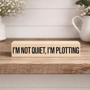 Funny Introvert Sign, I'm Not Quiet I'm Plotting, Sarcastic Office Desk Decor