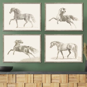 Vintage Horse prints, horse drawings, equestrian art prints, Equestrian Decor, Horse Art, Horse Decor, Horse farm home decor, watercolors