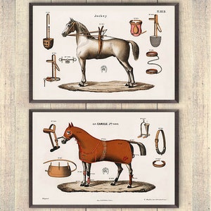 Vintage Horse prints, horse drawings, equestrian art prints, Equestrian Decor, Horse Art, Horse Decor, Horse farm home decor, office decor