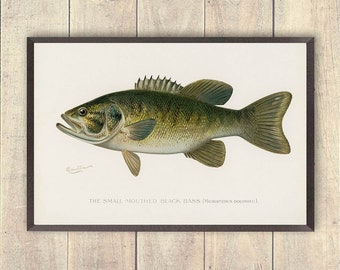 Bass art print, Vintage kleine mond bas Art Print, visser Prints, log home prints, zoetwatervissen kunst, buitenmens decor