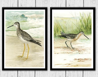 Coastal Bird Art 2 Set, Vintage Shorebirds Art Print, Beach Cottage Prints, Ocean, Sandpiper Wall Art, Coastal decor Prints, Beach home